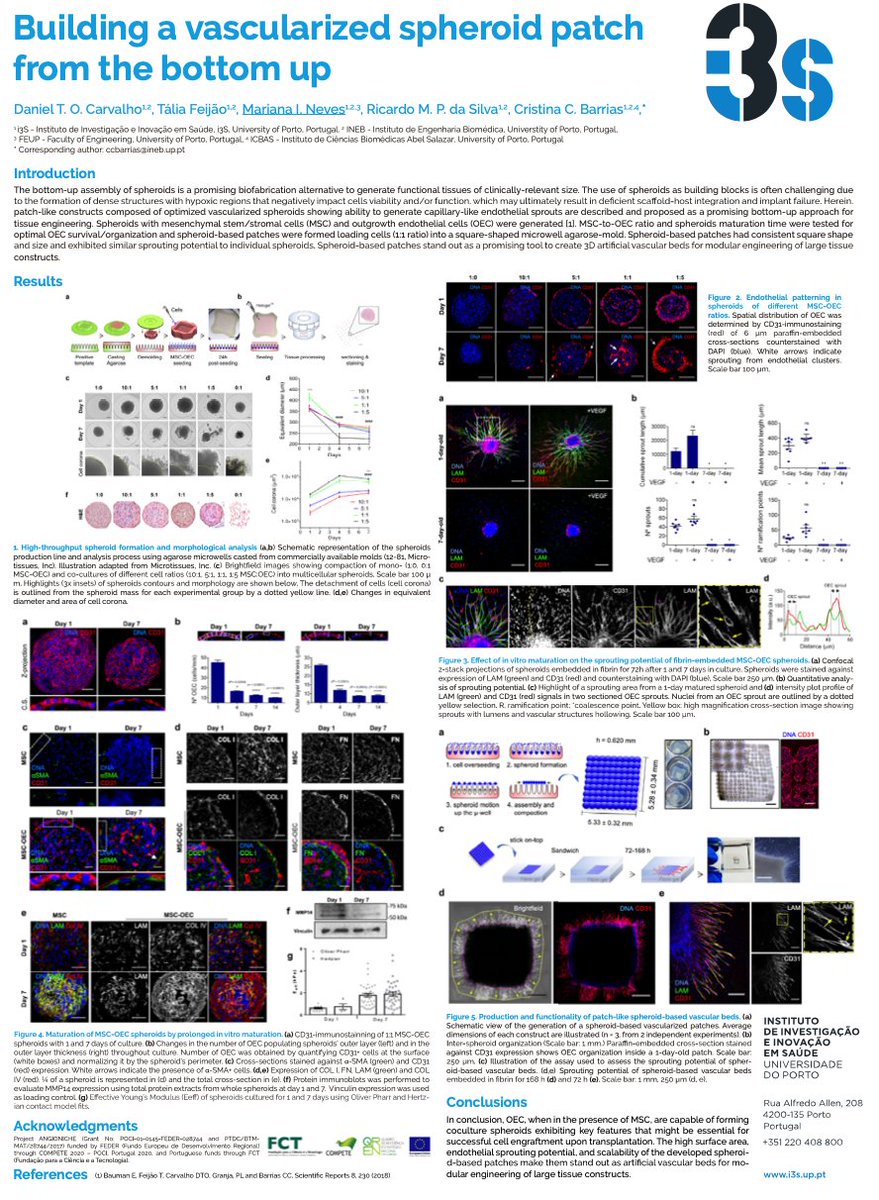 BeMIC - Barrias LAB tweet media