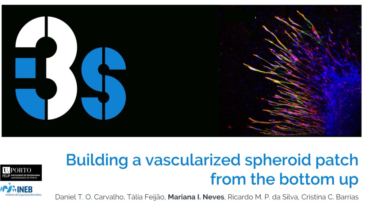 BeMIC - Barrias LAB (@bemic_blab) on Twitter photo What an exciting week!! BeMIC was present in TERMIS very well represented by <a href="/MarianaINeves/">Mariana Neves</a> with poster presentations of the works developed in the group! Thank you <a href="/2021Termis/">TERMIS 2021 Maastricht</a> for the amazing conference and everyone interested in our work!!! #Termis2021 #BeMIC What an exciting week!! BeMIC was present in TERMIS very well represented by <a href="/MarianaINeves/">Mariana Neves</a> with poster presentations of the works developed in the group! Thank you <a href="/2021Termis/">TERMIS 2021 Maastricht</a> for the amazing conference and everyone interested in our work!!! #Termis2021 #BeMIC