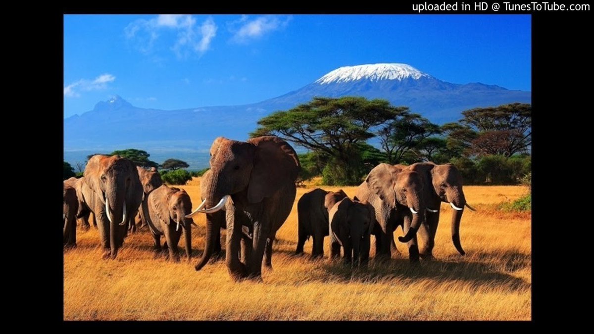 Wicked Vision tweet media