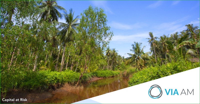 VIAAM_'s tweet photo. In partnership with Judo Cares, VIA AM has selected to support the @katinganmentaya Project which aims to protect and restore 157,875 hectares of peatland on the island of Borneo. 
#climatechange #sustainability #carbonneutral #impactinvesting #RealValueCreation #VIAleap