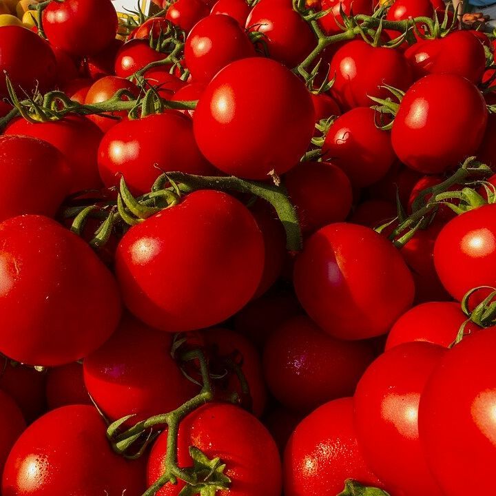 CirioUK's tweet photo. Tomatoes originally came from America, but were found to thrive in the #Italian sunshine! #TrueItalian https://t.co/npXAD1XaaS https://t.co/nVGYLJSYjg