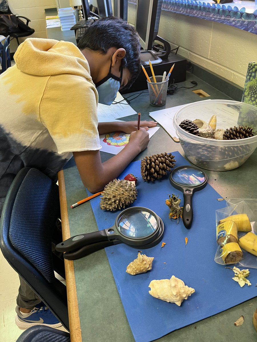 TanChee23's tweet photo. Allow me to introduce Fibonacci &amp; poetry to Computer Science! The classes are excited to use the new @codeorg Poem Art curriculum to animate their  “Fabulous Fib Poems”. #CSConnections @GaDOE_CS @CSforALL @ShilohPointES #edtech #code #STEMeducation https://t.co/fllELAUMEM
