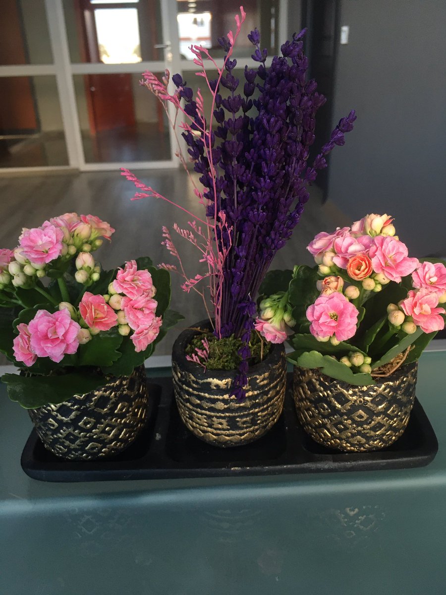 Ansızın gelen güzellikler , hep böyle nasıl güzel olunur peki💗🌸