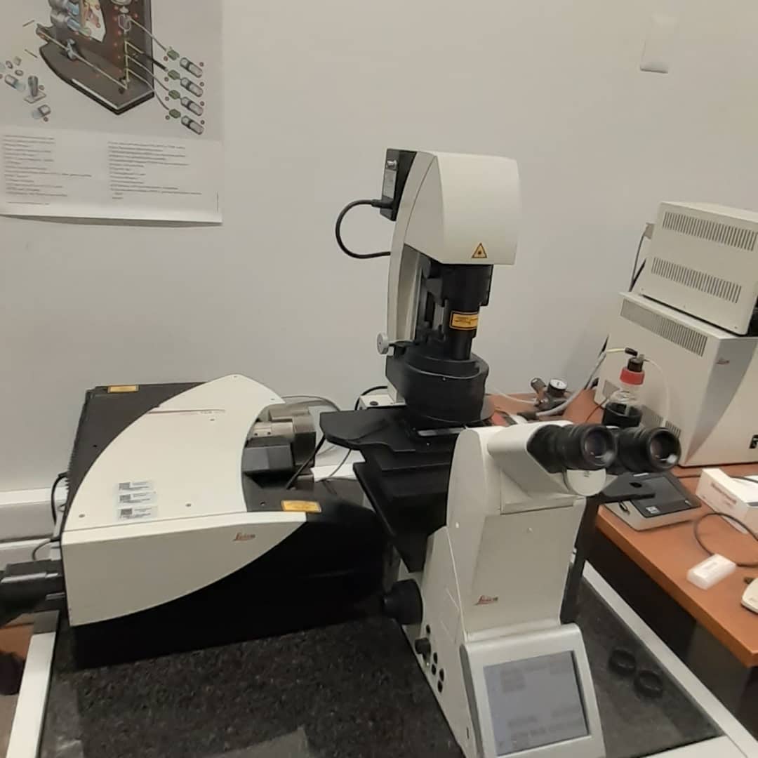 PiescheLab's tweet photo. Introduction course for our new #confocal including #lifeimaging. Looking forward to see #macrophages eating #cancer cells for a new #immunotherapy approach. #leica #Stellaris #fondequiq https://t.co/X0brMhoqA7