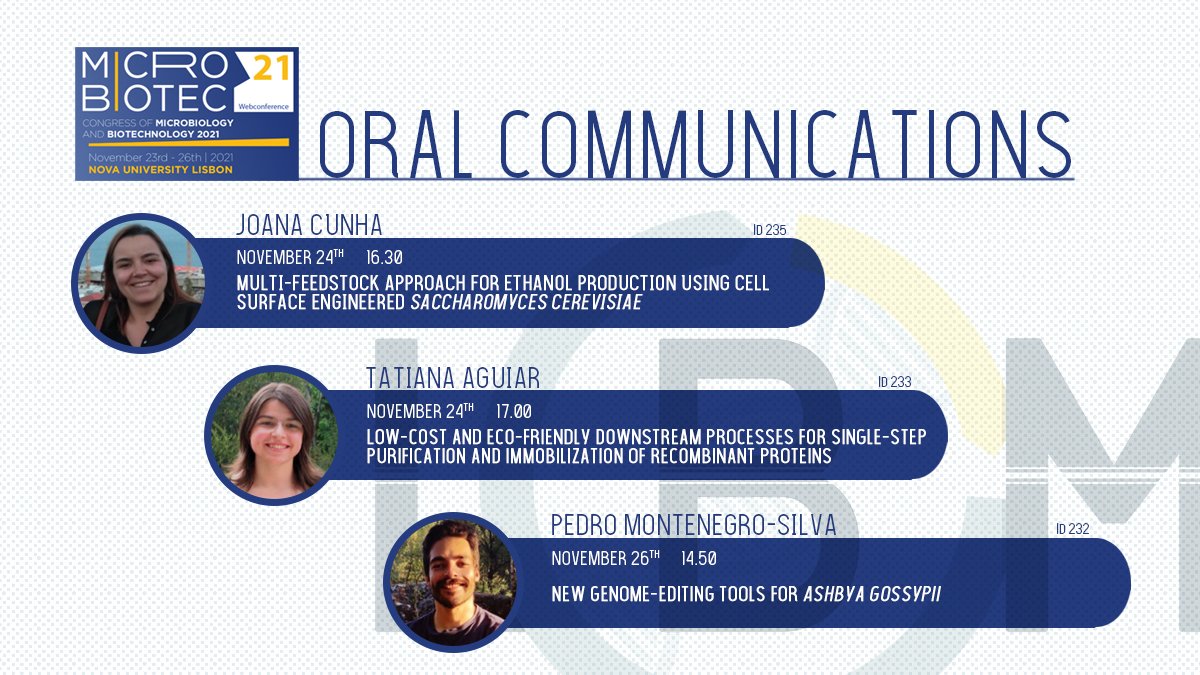 DominguesLab's tweet photo. Microbiotec '21 starts tomorrow! We are very excited about it and many researchers from our team will be presenting their work. Here are the oral communications!
#microbiotec #conference #biotechnology #microrganisms https://t.co/NGp6xkYvnS