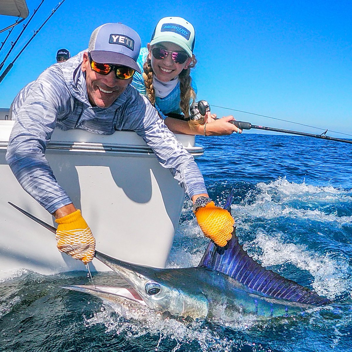 Pacific Fins tweet media
