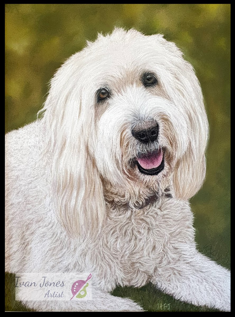 Hello #Herefordhour &amp; hope all is well. Just wanted to share my latest sold pastel #artwork, "Alert Fox", and latest #commission "Molly" with you. You can see more of my artworks on my <a href="/fasosites/">FASO Artist Websites</a> website bit.ly/3HL5EjN with #AugmentedReality views. Have a great day!  😊