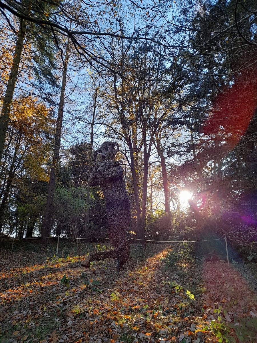 Beth Dawes tweet media