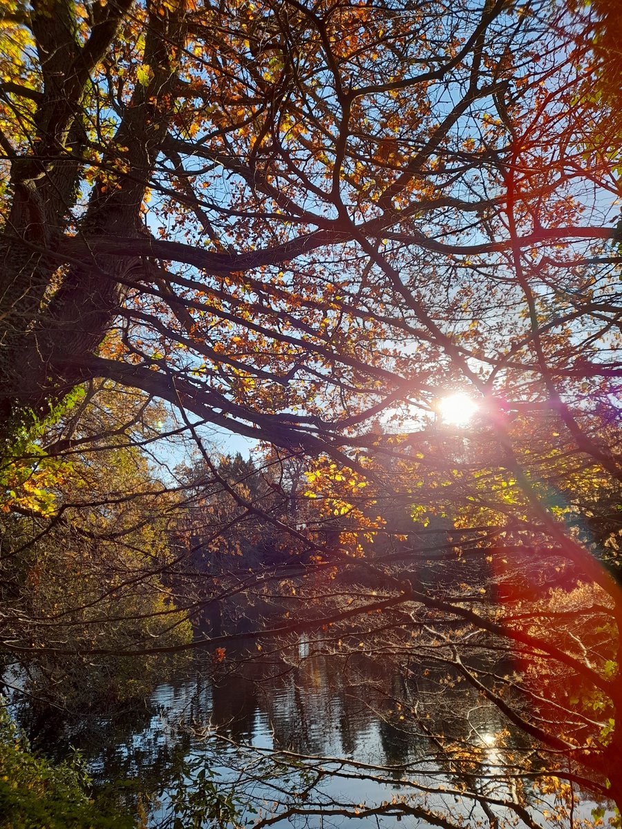 Beth Dawes tweet media