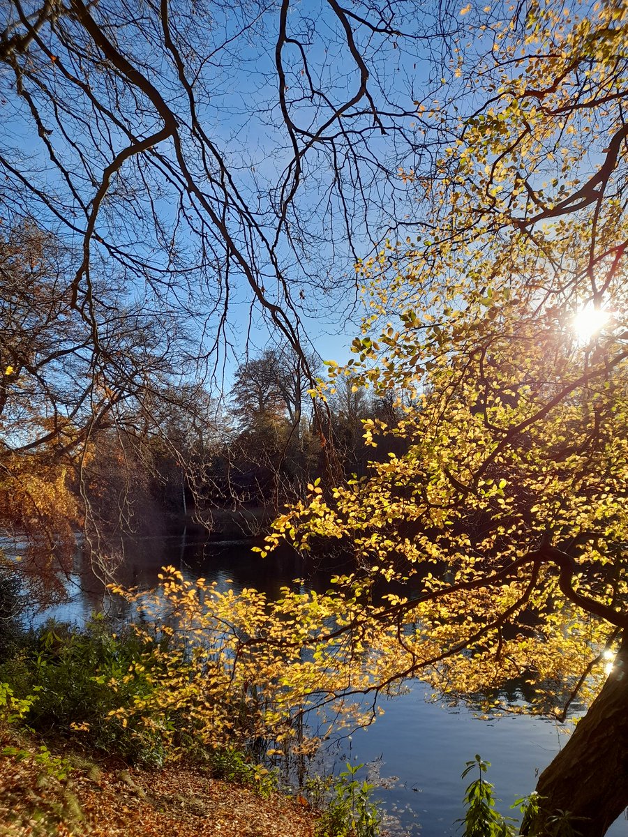 Beth Dawes tweet media