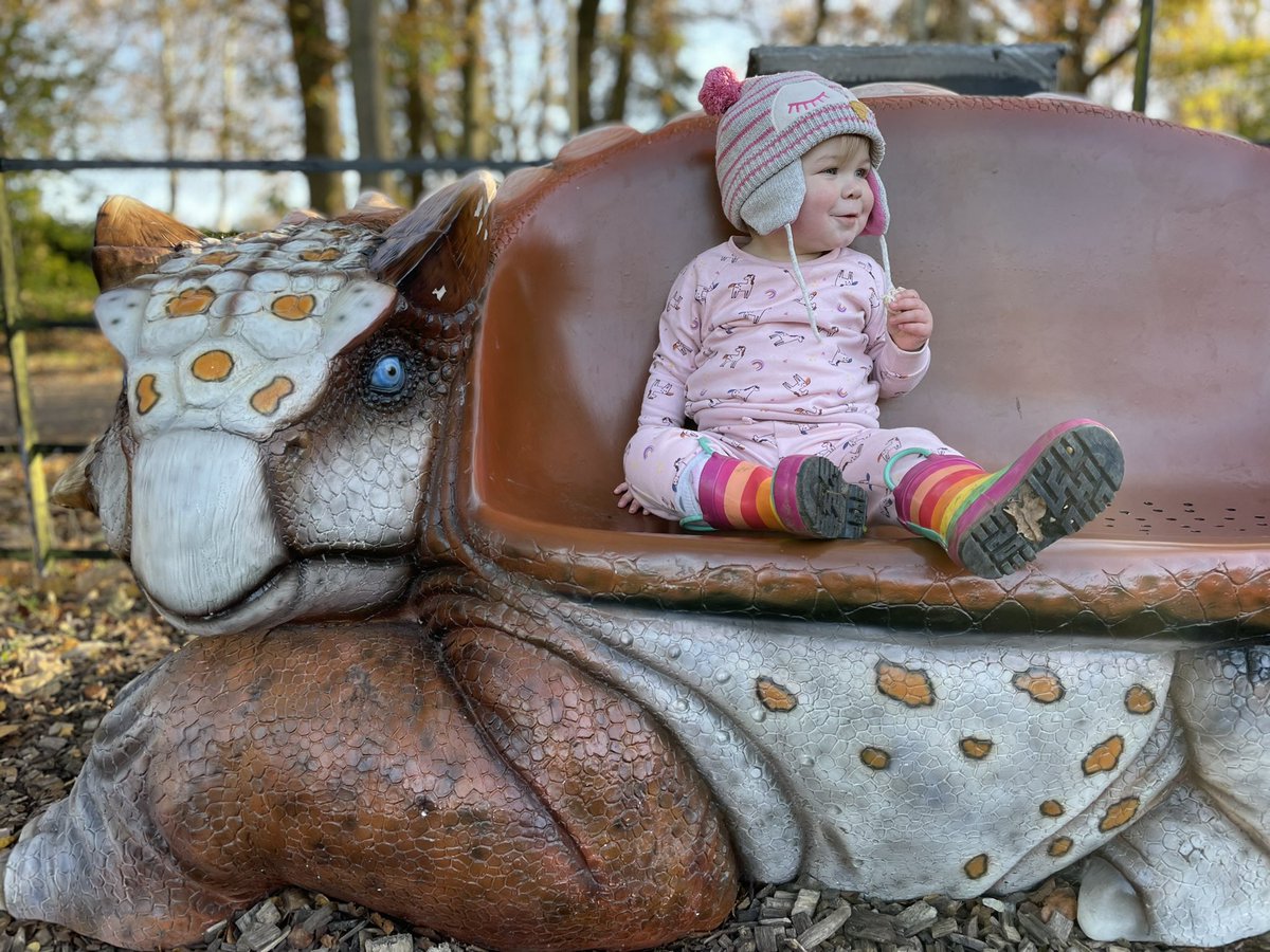 BecButler_'s tweet photo. Snowsauraus time @Painshill 🦖 #painshill #cobham https://t.co/u1ovF09xRu