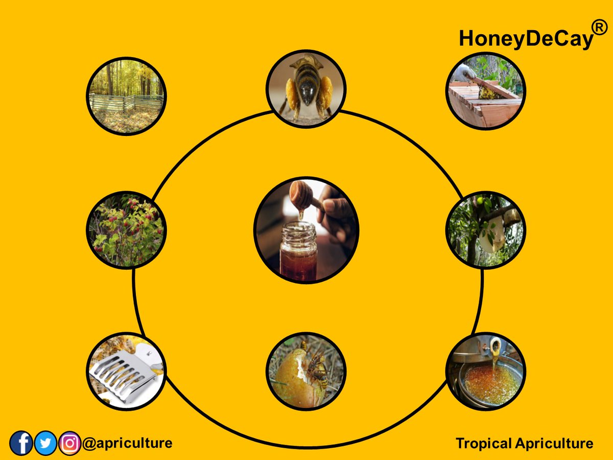 apriculture's tweet photo. Circles of activities depicting views of happens through out honey production season.

Share with friends. #rawhoney #beeworld #beehoney #tropics #wild #farmed #youth #foodies #honeydecay #tropicalapriculture https://t.co/urh1mLzZWH