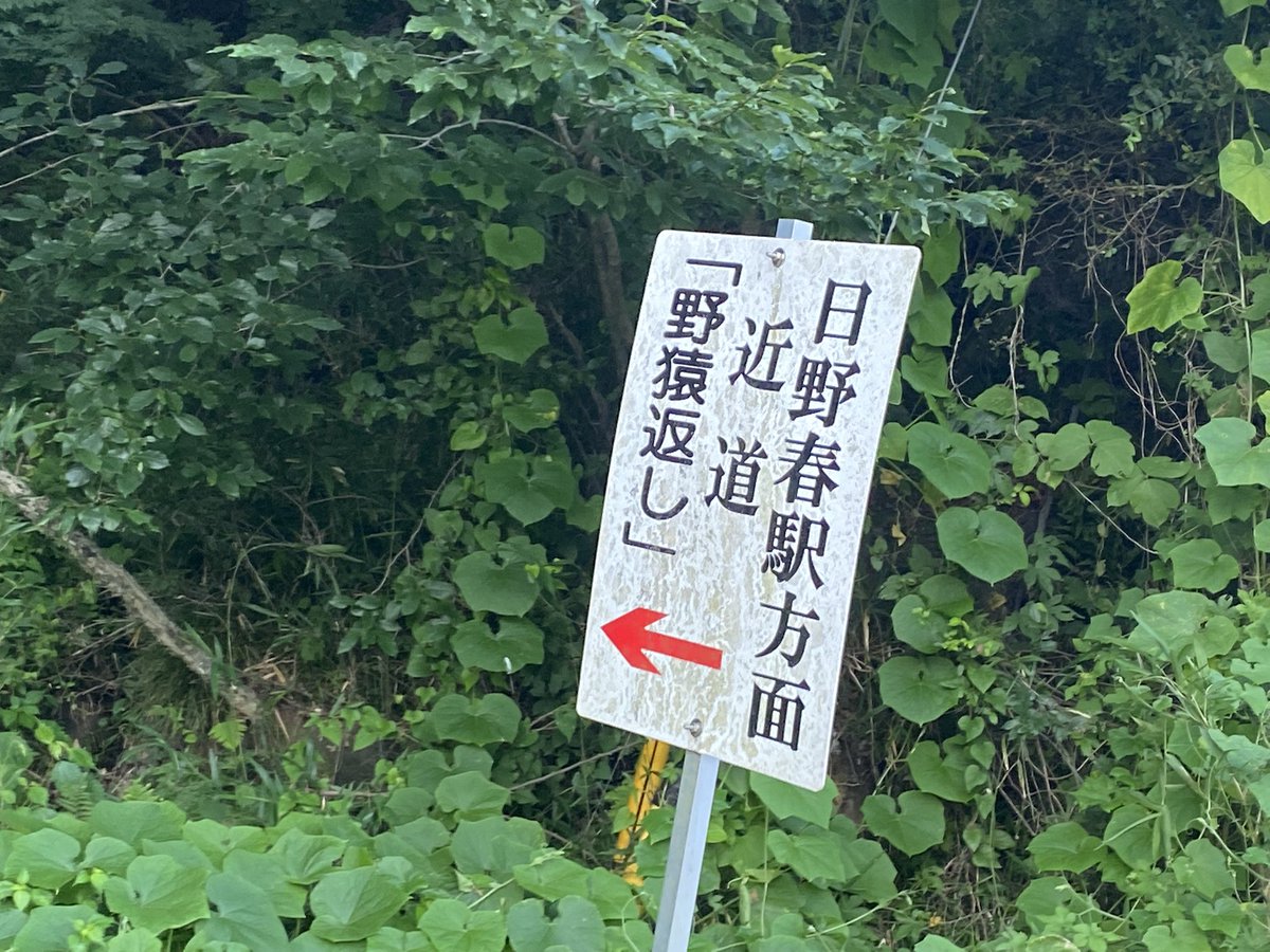 スーパーカブの聖地 撮影場所：山梨県北杜市釜無川ポケットパーク 撮影日：2021年5月5日と7月24日