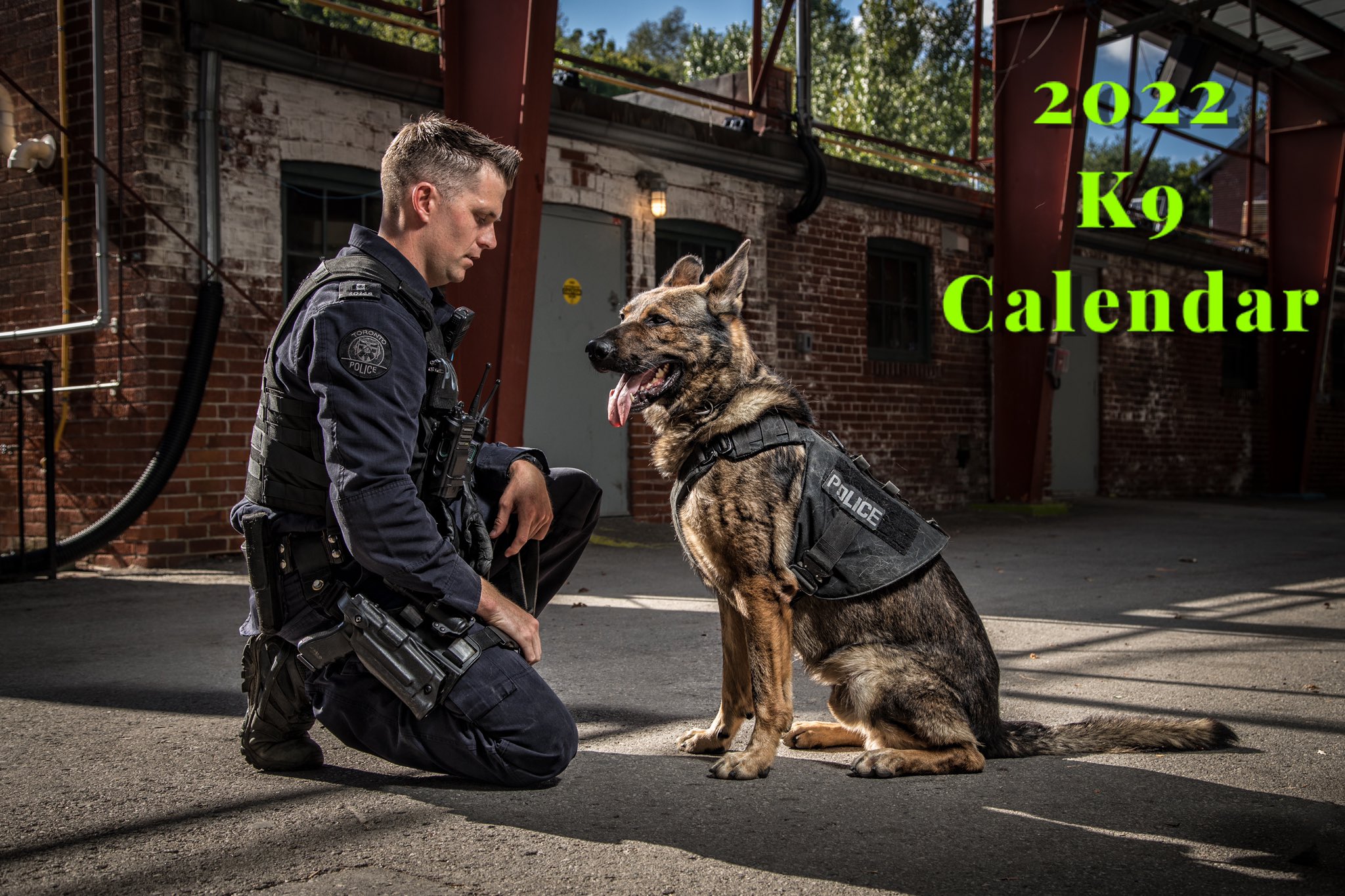 Toronto Police K9 on X