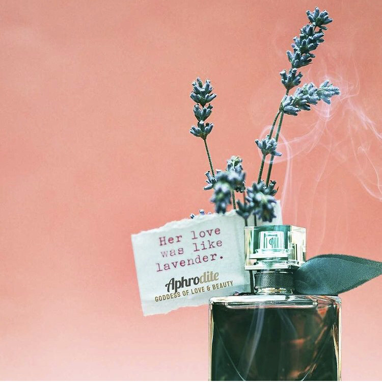 Aphro Perfumes tweet media