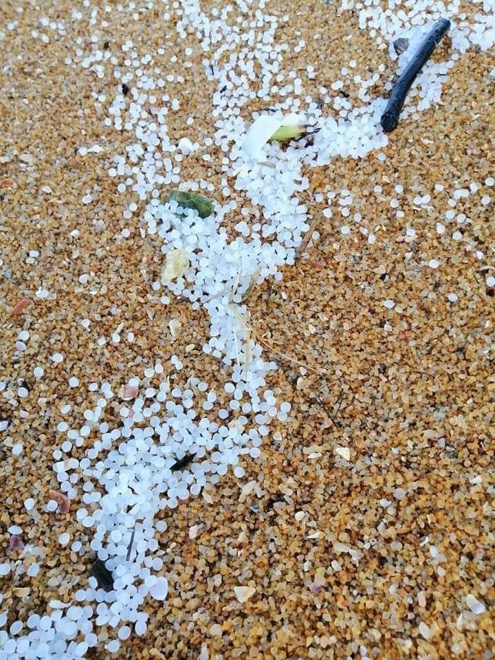 In May 2021, 1,680 tonnes of #nurdles plunged into Sri Lankan waters as a result of the X-Press Pearl sinking, causing profound economic, social and environmental impacts.

Read our blog to learn more about nurdles and how you can help: exxpedition.com/what-are-nurdl…

📸 <a href="/Min_of_Env_SL/">Ministry Of Environment, Sri Lanka</a>