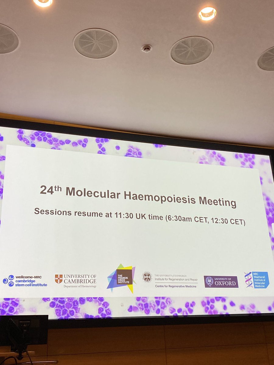 Rebecca Maynard tweet media