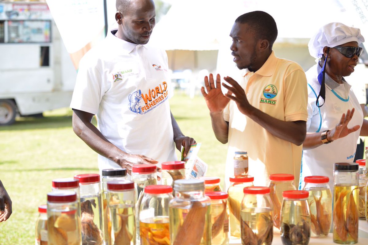 Today is #WorldFisheriesDay2021 and national celebrations are being held in #Gulu district with <a href="/HellenAdoa/">Minister of State for Fisheries (MAAIF) Uganda</a> as the chief guest.

The team from <a href="/narouganda/">NARO Uganda</a>
is exhibiting information and research products specific to the #fisheries sector.