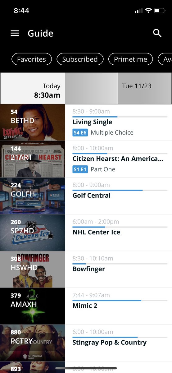 Celestina Pugliese tweet media