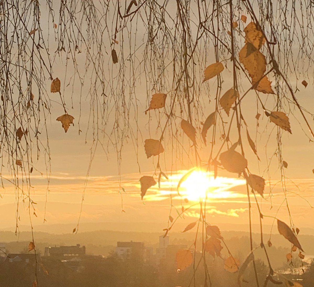 Nydelig morgen i Sandvika, Bærum #meteorologene