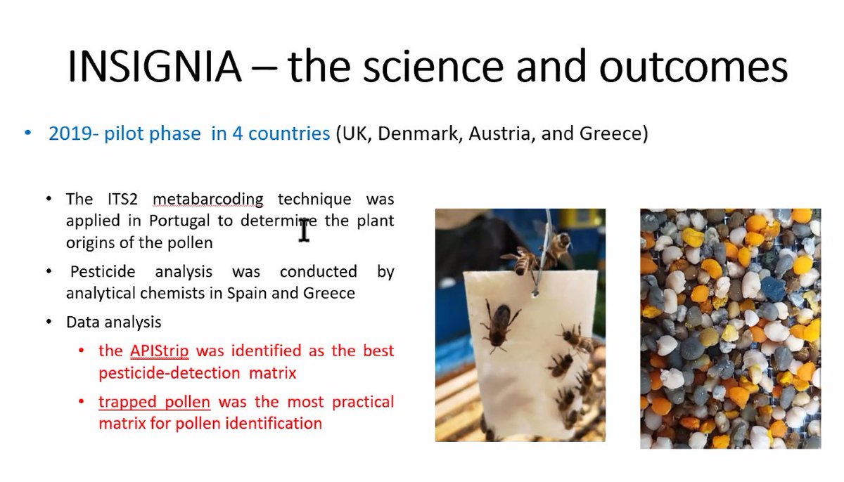StrathclydeOA's tweet photo. #StrathOR Alison Gray from @StrathMathStat describes fascinating research harnessing #CitizenScience and #CrowdSourcing to understand honey bee colonies, biodiversity and population health. #OpenResearch https://t.co/ICJFZ7BAVT