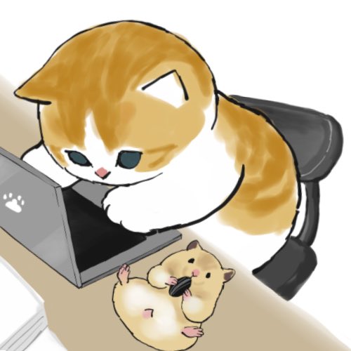 no humans animal focus chair animal lying cat computer  illustration images
