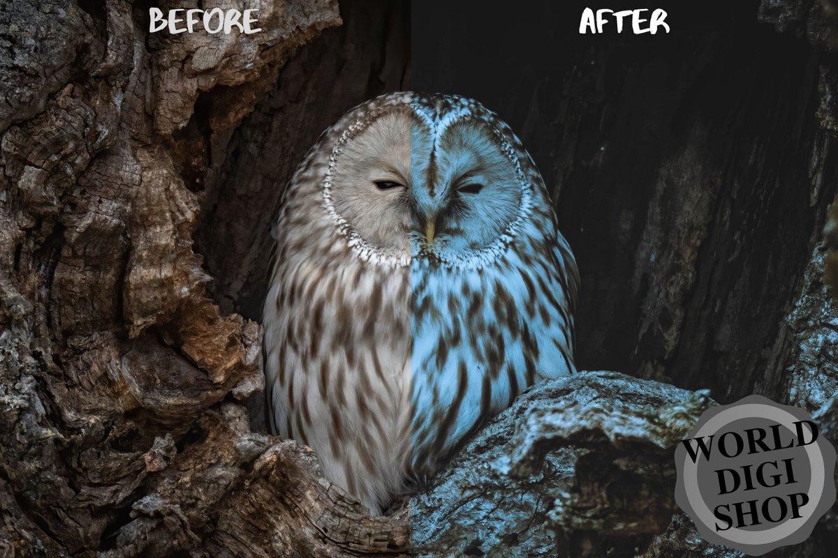 WorldDigiShop's tweet photo. 🐣. Offer Xtras! 108 Animal Lightroom Presets Exclusive Collection, Desktop Presets, Mobile Presets, Blogger Presets, Animals Presets, DNG, XMP, Lrtemplate for $17.28 #PhotoPresets #LightroomPresets https://t.co/AfzFgMC2lk