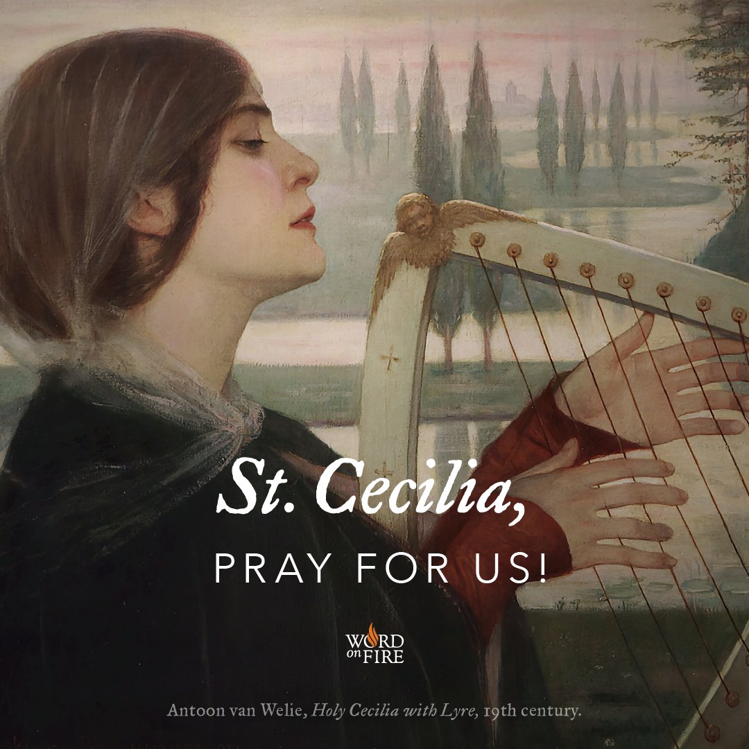 Catching Fire Cecilia