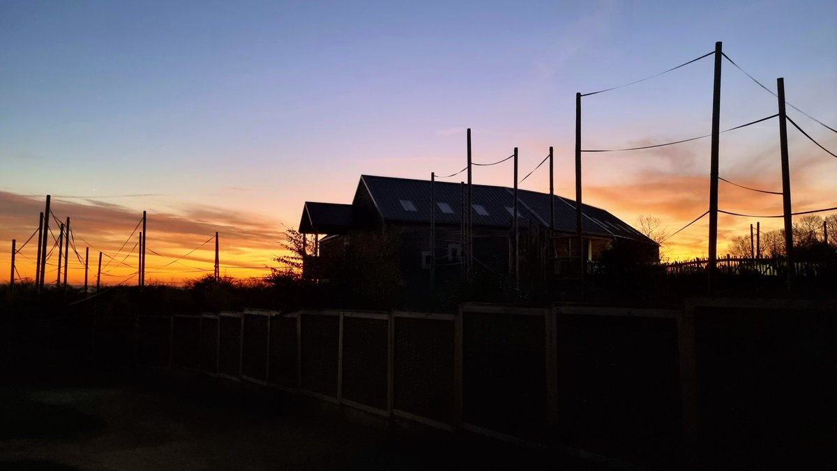 Jacob Sanders tweet media