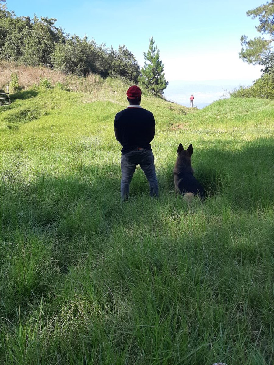 pdgley's tweet photo. “If you pick up a starving dog and make him prosperous he will not bite you. This is the principal difference between a dog and a man.” #Pdgley #djoleymotivation https://t.co/jj7FCJt5h4