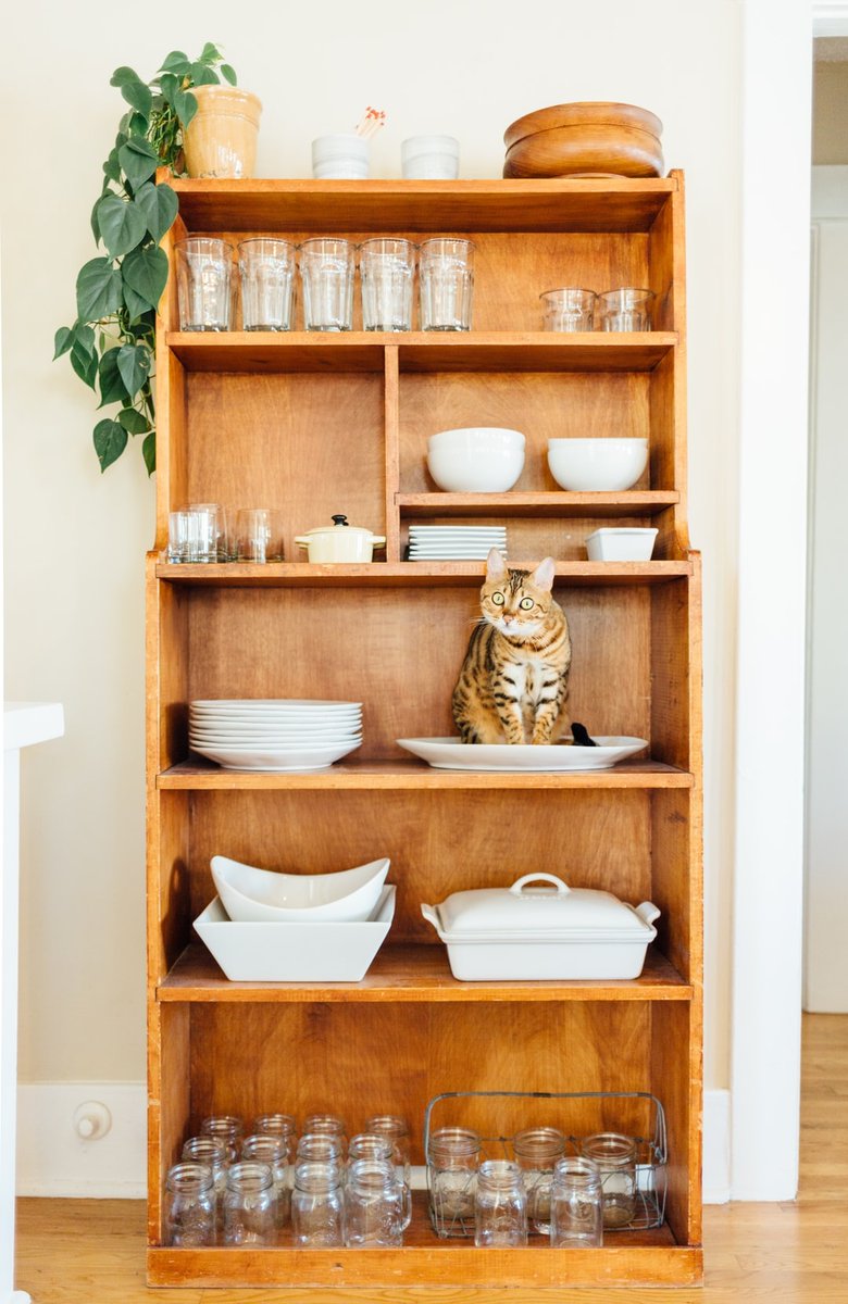 myshelfapp's tweet photo. Get your plates ready! #Thanksgiving is this week. 🦃 Are you hosting or bringing a dish? https://t.co/enWfxE8Phf
