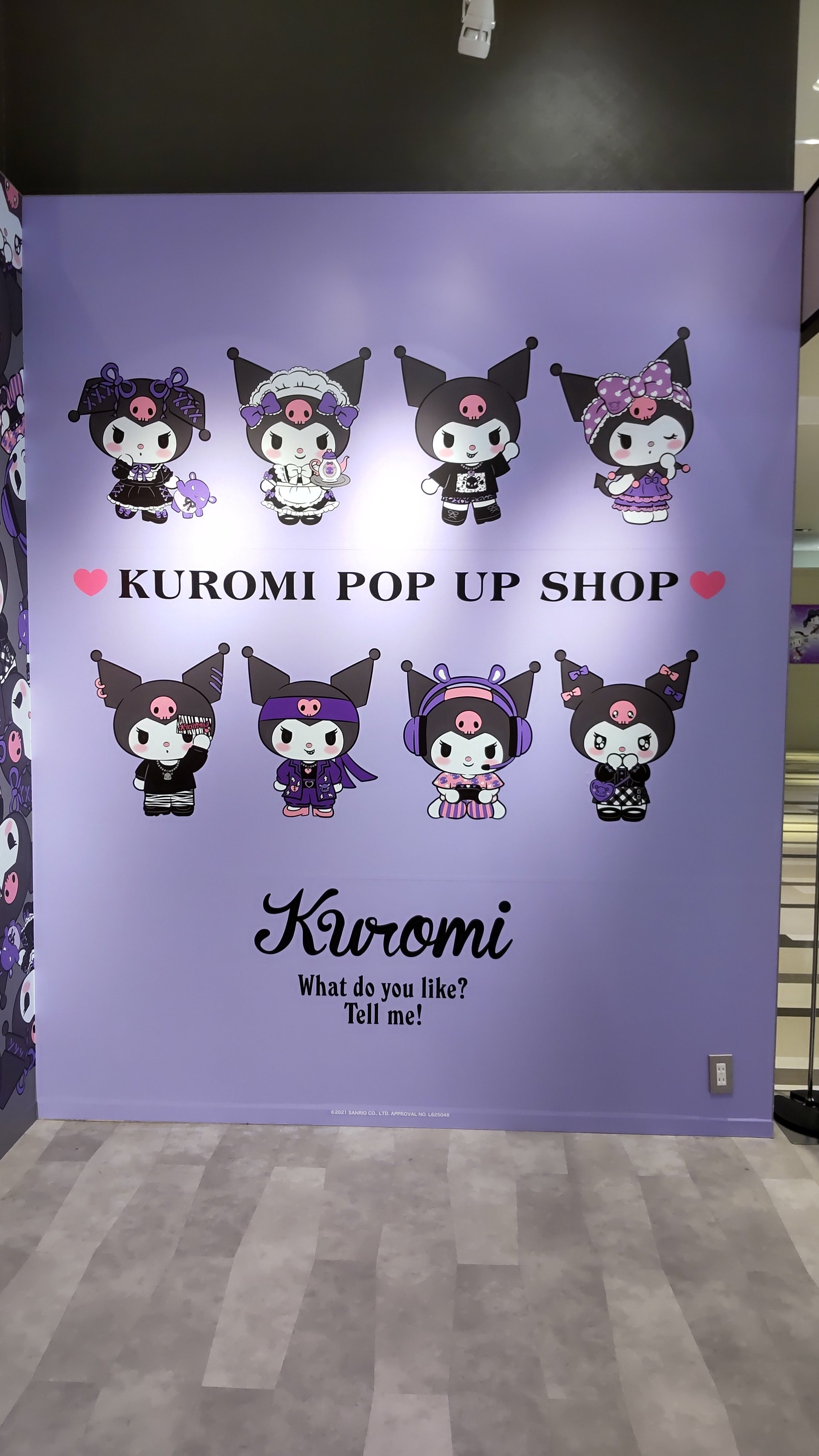 【KUROMIchan꒰ᐢ‎˵•ﻌ•˵ᐢ꒱】 nya😺 #猫の日 #kuromi #クロミ #世界クロミ化計画 #shorts