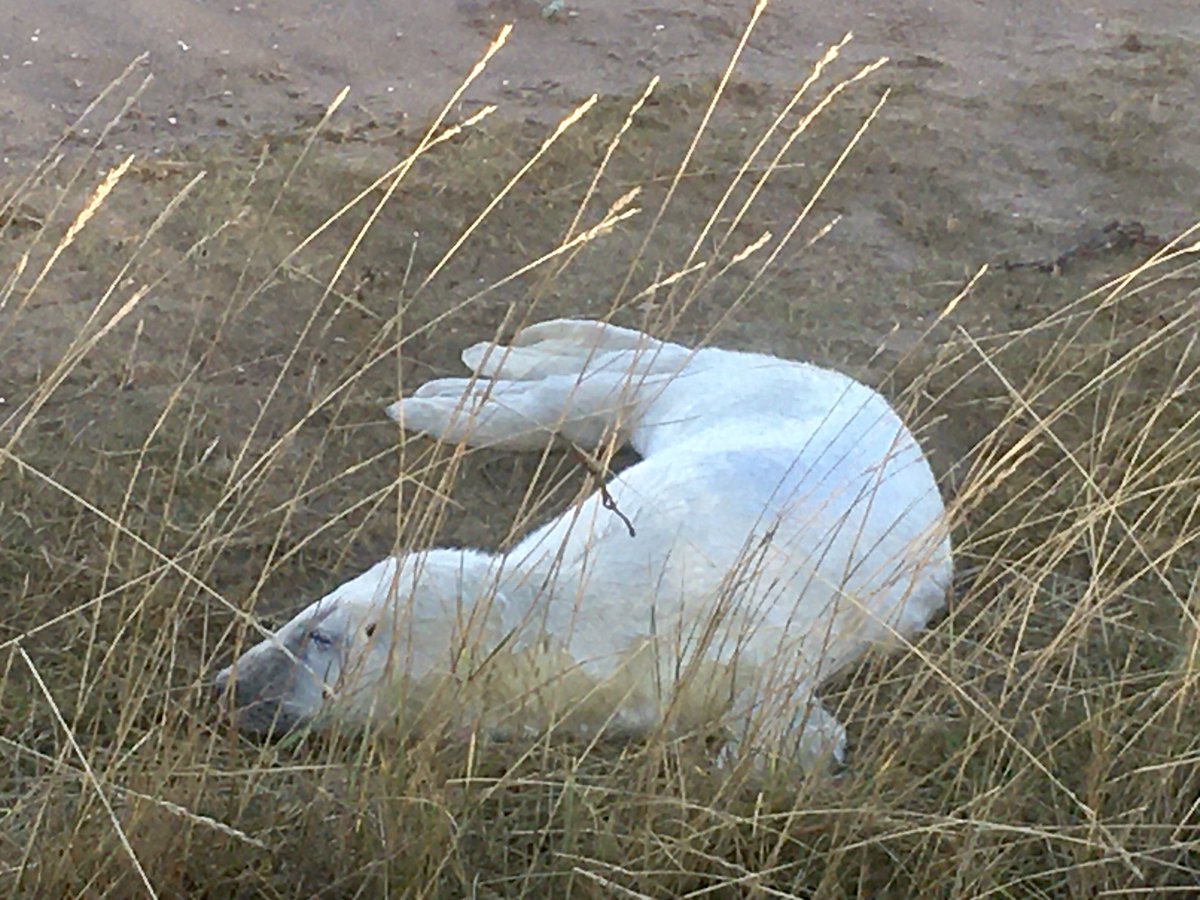 Leanne Hicklin tweet media