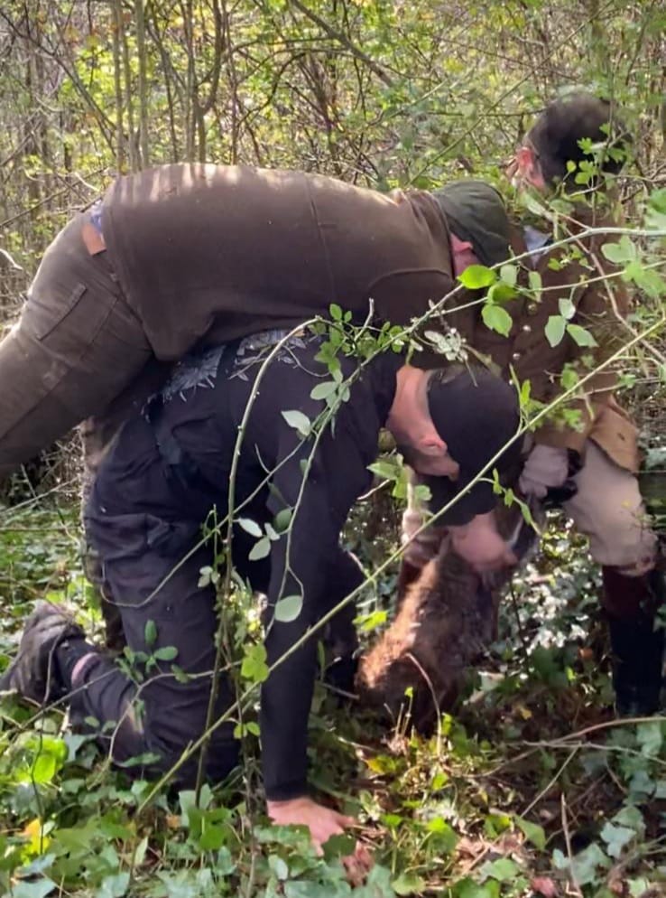 Cheshire Monitors tweet media