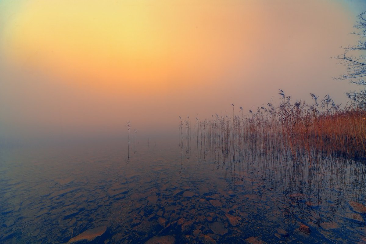 İlk demokrasinin ulaştığı devletler de,
muhalifeti iktidar belirliyordu..
Dolayısı ile amaçlarına ulaşmak da,
tüm partiler birbirlerini tamamliyorlar..

#ZilfiTomaev