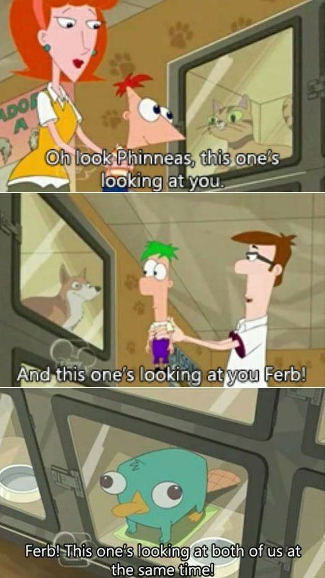 AniTweetCity's tweet image. Wholesome moment