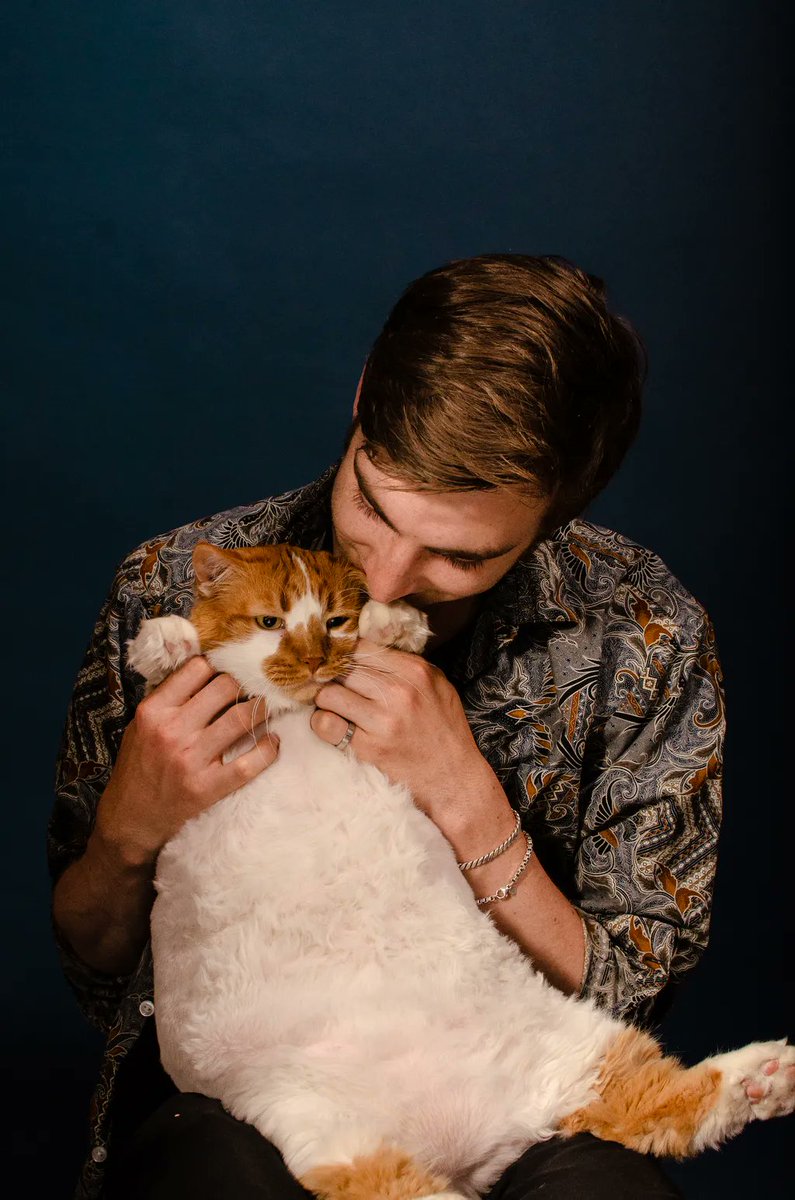 Icarus Moth 𓆤 tweet media