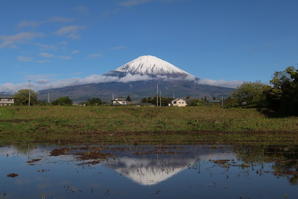 とある雨上がりの朝 静かな水面に富士山が映った ※公道から撮影