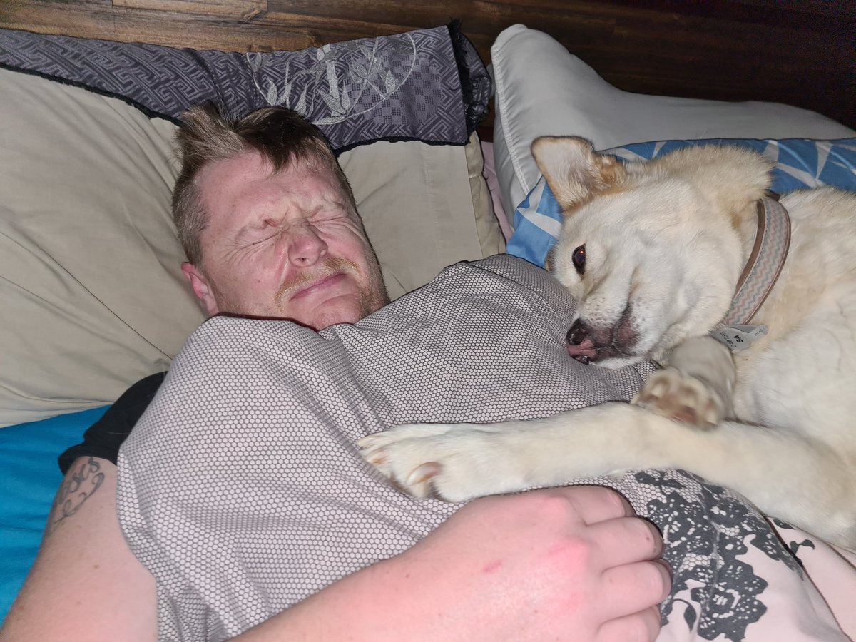 SokarLive's tweet photo. When you have to wake up early and your wife and and dog offer to help https://t.co/EeZROX3Tdx