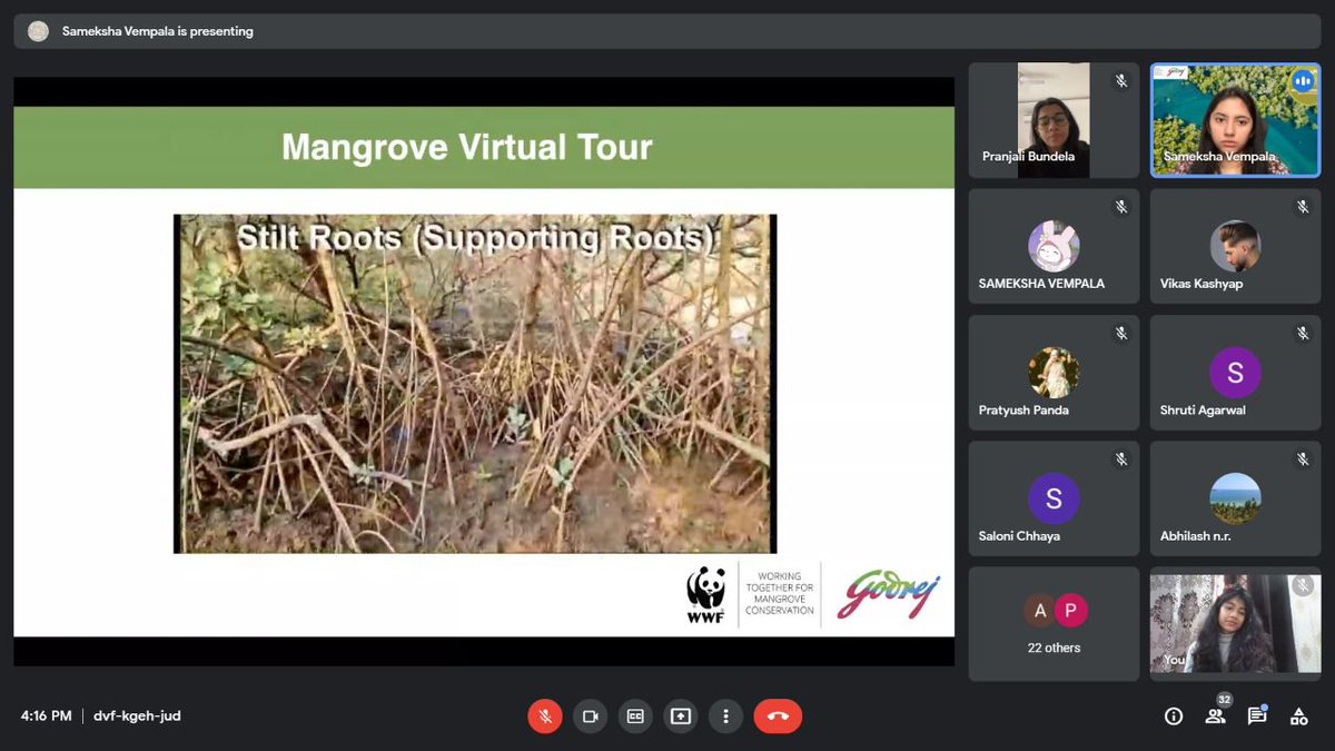 hrcharitima's tweet photo. Greetings from *Haritima, The Environmental Awareness Society of Hansraj College*🌻
We are back with our new video on youtube *(A virtual tour of the Mangrove Swamps)*
Visit the link: https://t.co/Eb5axk0HZC'
#haritima #hanschetna #hrcharitima #frames #haritimaexpress https://t.co/4XBZtlck6X