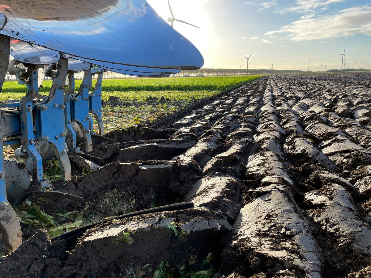 Jur Veenink tweet media