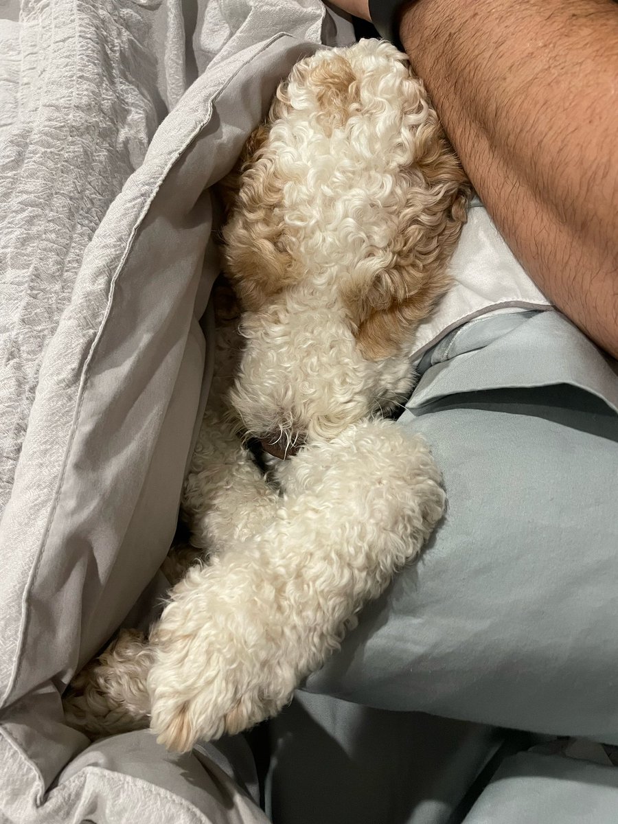 refresh375's tweet image. That Monday morning feeling. #doodle #MondayMood