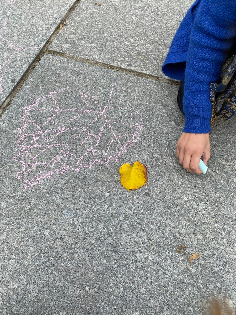 Kinderunief's tweet photo. Parkiet Pi is gaan vliegen! 🦜 
Zoek hem zondag 28/11 in @Stadgent op deze
coronaproof #wetenschappelijke #wandeling. Ontdek
hoe je niet omver valt ⚖️&amp; hoe je kan vliegen als de draak op het Belfort 🐉
👉https://t.co/VaVc8S1OQY
#STEM #JongeOntdekkers @ArteveldehsGent https://t.co/sAKFO1VYWJ