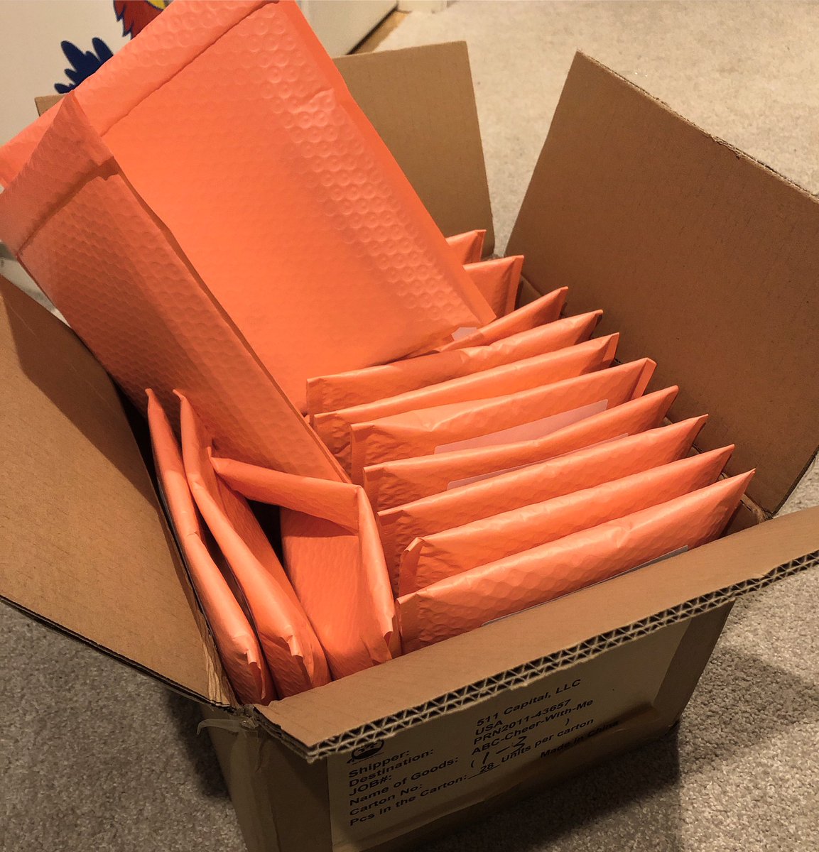 Tis the season to gift a copy of #ABCcheerwithme! 🎁🎄 #cheerchristmas