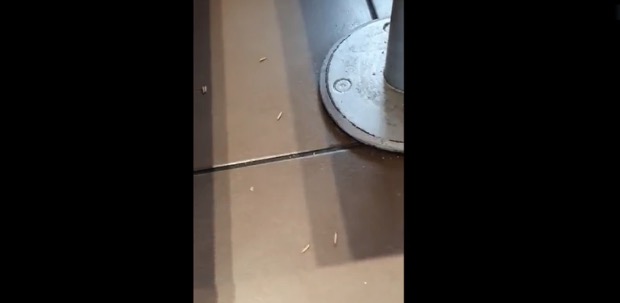portoalegre24h's tweet photo. Clientes entram em desespero ao notarem larvas caindo do teto em McDonald’s; assista ao vídeo - https://t.co/6JejN4oeyA https://t.co/sTOha6jApa