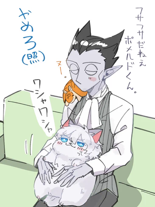もふもふフサフサしてくれ〜〜〜〜〜〜〜〜!!!!!!!!!! 