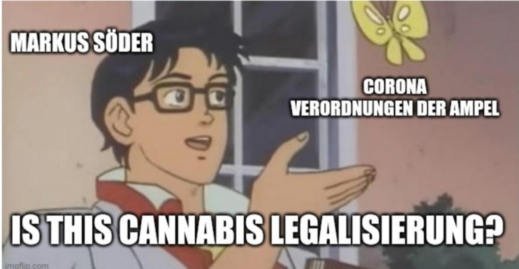 Peeke Zajonc (@pkzjnc) on Twitter photo 