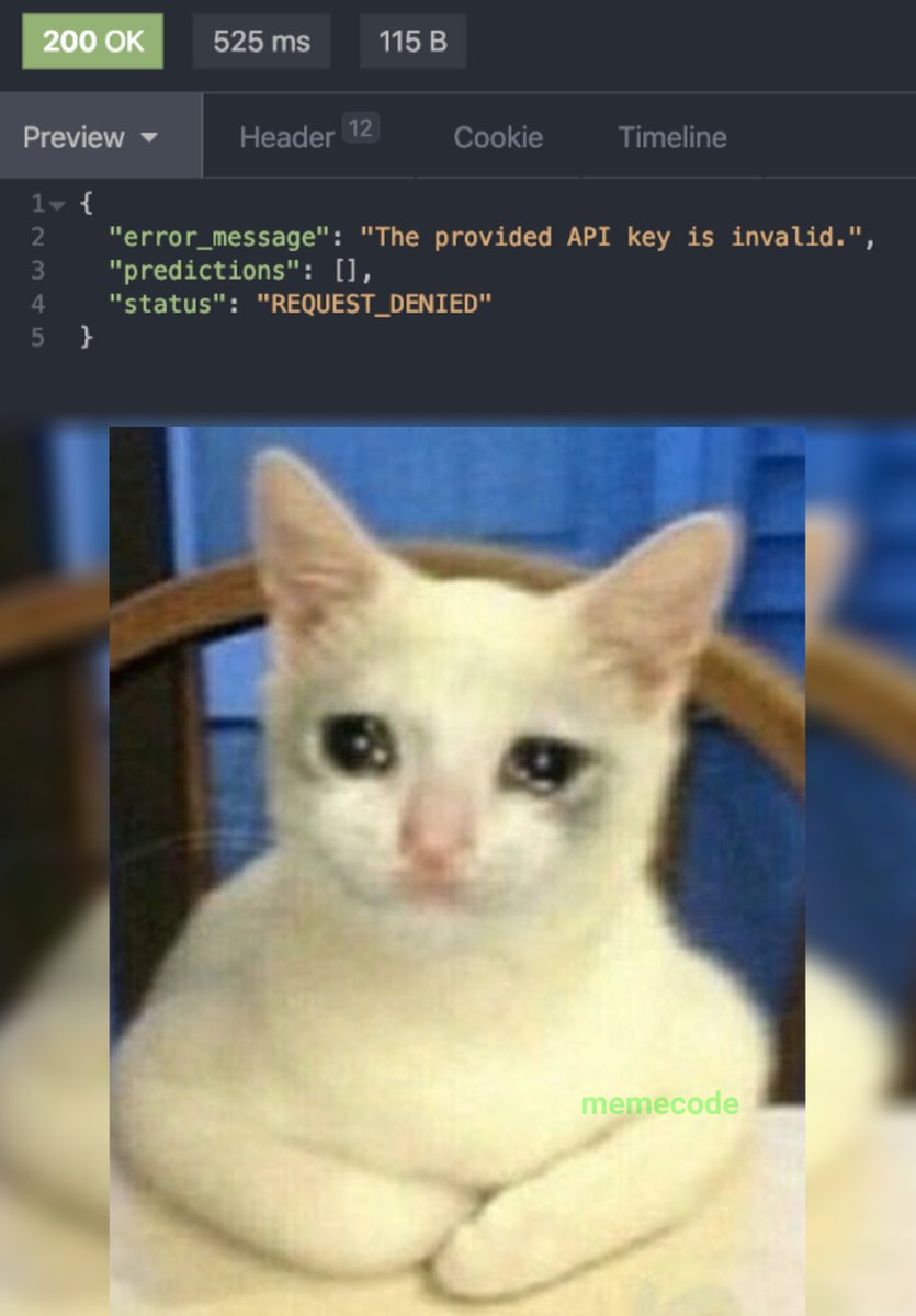 the_memecode's tweet image. vocês ae criando api
