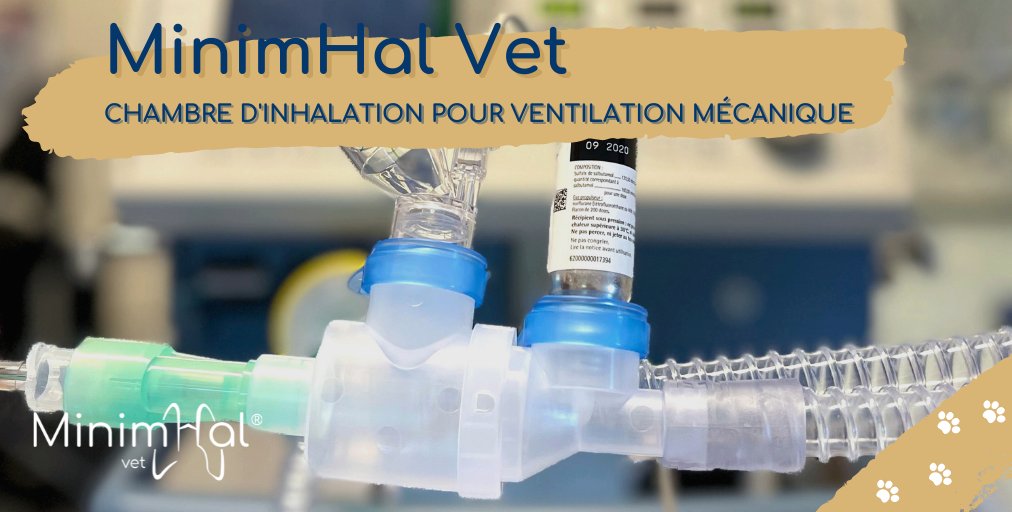AnimHal_HC's tweet photo. 🐱🐶[MinimHal Vet] La chambre d'inhalation MinimHal Vet a été conçue pour être intégrée sur un circuit de ventilation mécanique. Cette chambre d'inhalation est destinée principalement au monde des vétérinaires🩺

Plus d'infos ➡️ https://t.co/rjdD9RJ9dO

#Vétérinaires #MyAnimHal https://t.co/UyEHDKBc9a