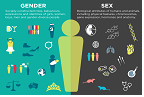 GOING-FWD (@fwd_going) on Twitter photo Q1: How does biological sex differ from gendered #social determinants of #health ? <a href="/fwd_going/">GOING-FWD</a> #GOINGFWDJournalClub #diabetesawarenessmonth
<a href="/ZahraaziziMD/">Zahra Azizi, MD, MSc</a> <a href="/TeresaGisinger/">Teresa Gisinger</a> <a href="/NicoleNickers11/">Nicole Nickerson</a> <a href="/parryresearch/">Monica Parry, NP (Adult), PhD, FAAN, FCAN, FAHA</a> @arlandahoy <a href="/JnothingSmith/">π΄σ §σ ’σ ³σ £σ ΄σ Ώ π«π· π¨π¦ Jeanette Smith π πͺπ» π</a> <a href="/RIMUHC1/">Research Institute of the MUHC (The Institute)</a>
cihr-irsc.gc.ca/e/50833.html
<a href="/CIHRIGH/">CIHR Institute of Gender & Health</a> Q1: How does biological sex differ from gendered #social determinants of #health ? <a href="/fwd_going/">GOING-FWD</a> #GOINGFWDJournalClub #diabetesawarenessmonth
<a href="/ZahraaziziMD/">Zahra Azizi, MD, MSc</a> <a href="/TeresaGisinger/">Teresa Gisinger</a> <a href="/NicoleNickers11/">Nicole Nickerson</a> <a href="/parryresearch/">Monica Parry, NP (Adult), PhD, FAAN, FCAN, FAHA</a> @arlandahoy <a href="/JnothingSmith/">π΄σ §σ ’σ ³σ £σ ΄σ Ώ π«π· π¨π¦ Jeanette Smith π πͺπ» π</a> <a href="/RIMUHC1/">Research Institute of the MUHC (The Institute)</a>
cihr-irsc.gc.ca/e/50833.html
<a href="/CIHRIGH/">CIHR Institute of Gender & Health</a>